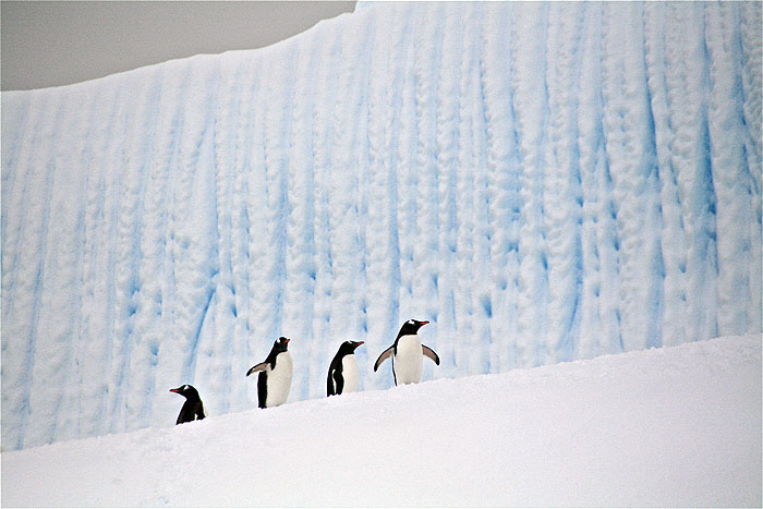 Antarctic Air Cruise image