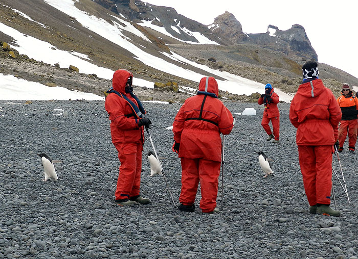 AQ1113LN1651_antarctic-peninsula-brown-bluff-adelie-penguins.jpg [© Last Frontiers Ltd]