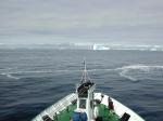 Image: First icebergs - South Georgia
