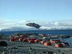 Image: Hope Bay - Antarctic Peninsula and the Shetland Islands