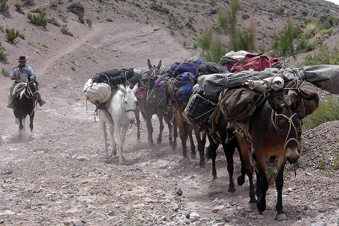 AR09HT_mendoza-ride-Cruca-Andes-029.jpg [© Last Frontiers Ltd]