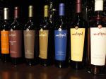 Image: Melipal winery - Mendoza