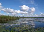 Image: Marshlands - The Iber Marshlands