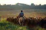 Image: Estancia Santa Cecilia - Misiones, Argentina