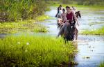 Rincon del Socorro - The Iber Marshlands, Argentina