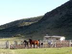 Image: Rancho e Cuero - Mendoza