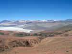 Image: Tolar Grande - Altiplano
