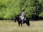 Gaucho near Trevelin