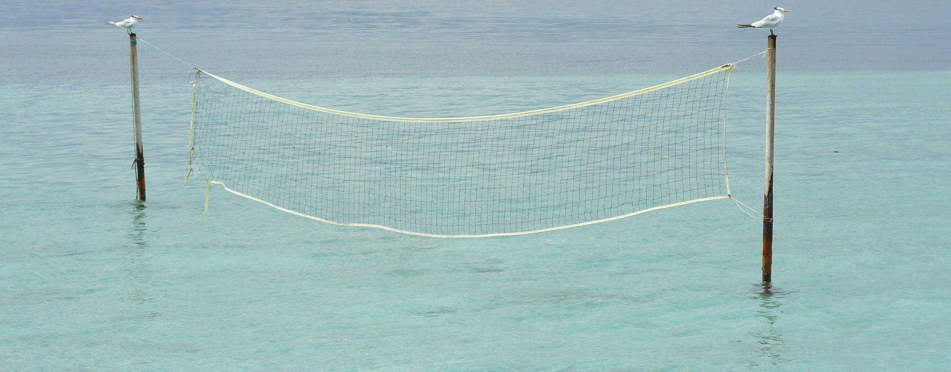 volleyball in the ocean