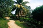 Image: Chaa Creek - The Highlands, Belize