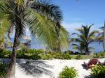 The Caribbean through the palm trees