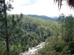 Image: Five Sisters - The Highlands, Belize