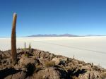 Image: Isla Pescadores - Salar de Uyuni and the southern deserts