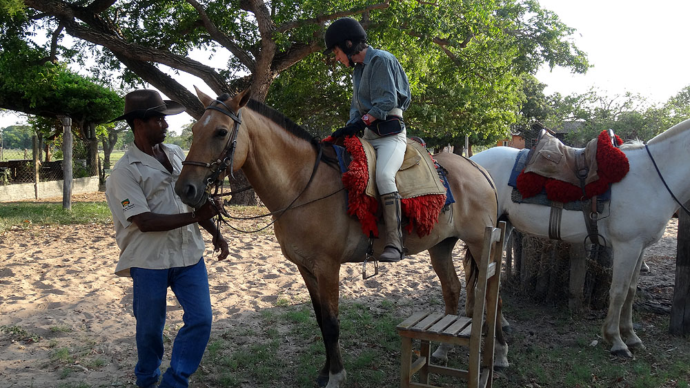 052BR1910SS_pantanal-baia-das-pedras-choosing-horses.jpg [© Last Frontiers Ltd]