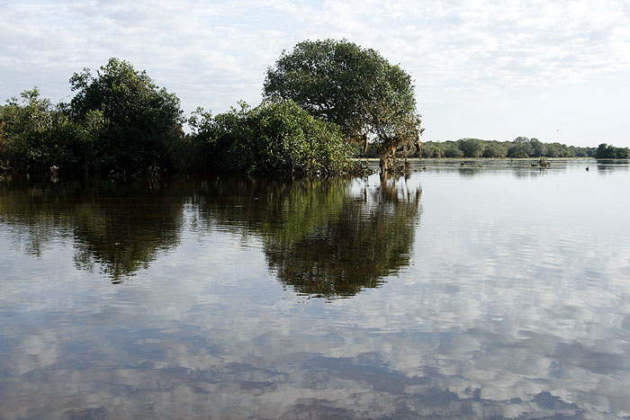 BR0511EM505_pantanal-drainage-fields.jpg [© Last Frontiers Ltd]