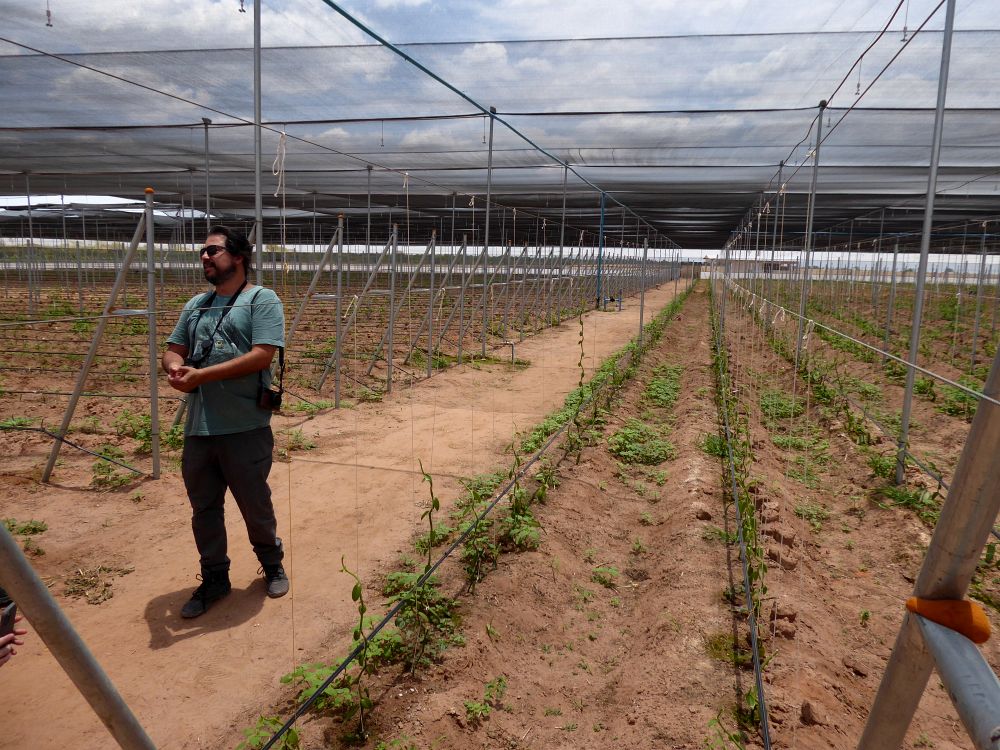 BR2510EP072_trijuncao-vanilla.jpg [&copy; Last Frontiers Ltd]