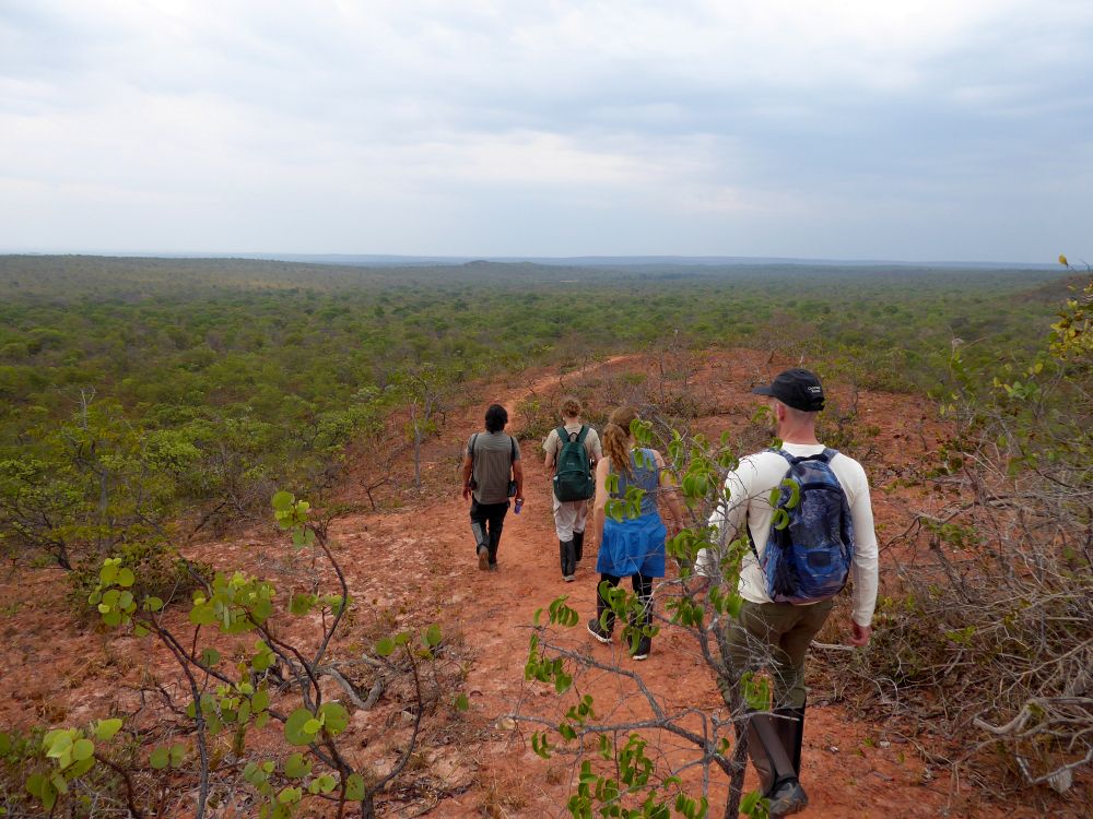 BR2510EP109_trijuncao-sucuarana-trail.jpg [&copy; Last Frontiers Ltd]