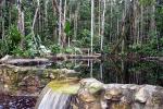 Image: Amazon Ecopark - Amazon lodges and cruises, Brazil
