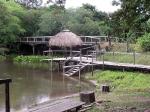 Image: Refugio da Ilha - Pantanal lodges, Brazil