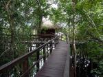 Juma Lodge - Amazon lodges and cruises, Brazil