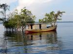 Image: Anavilhanas Jungle Lodge - Amazon lodges and cruises