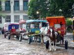 Horse-drawn carriages in Tiradentes