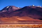 Image: Talar - The Atacama desert