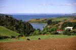 Image: West coast - Chiloé Island