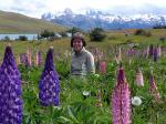 Image: Torres del Paine - Torres del Paine