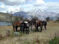 Riding in Chile itinerary thumbnail