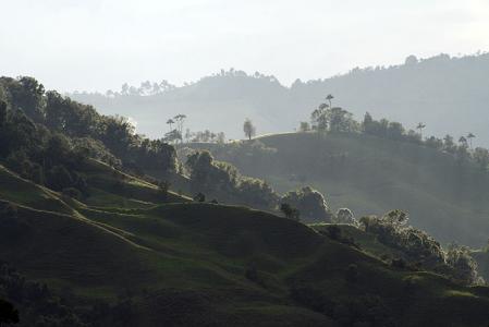 Colombia