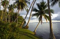 Playa Cativo image