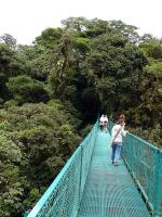 Image: Canopy walkway - Monteverde