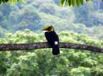 Image: Lapa Rios - The Osa Peninsula, Costa Rica