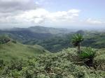 Image: Monteverde - Monteverde