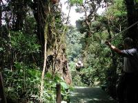 Monteverde image