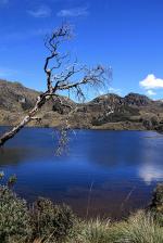 Image: Cajas National Park - Cuenca and Ingapirca