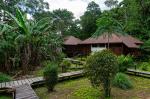 Image: Sacha Lodge - The Amazon, Ecuador