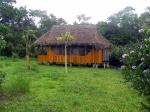 Image: Secoya Lodge - The Amazon, Ecuador