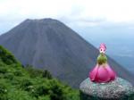 Cerro Verde volcano and flower doll