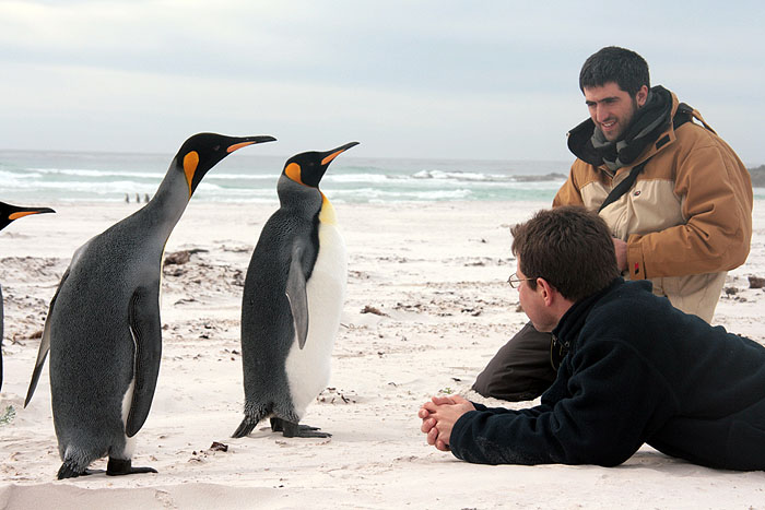 FK0310LD0798_volunteer-point-king-penguins.jpg [© Last Frontiers Ltd]