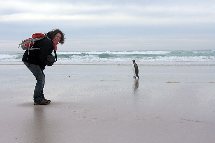 FK0310LD0821_volunteer-point-king-penguins-lizzy.jpg [© Last Frontiers Ltd]