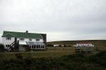 Image: Darwin House - East Falkland