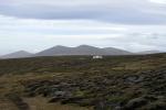 Image: The Rookery - West Falkland