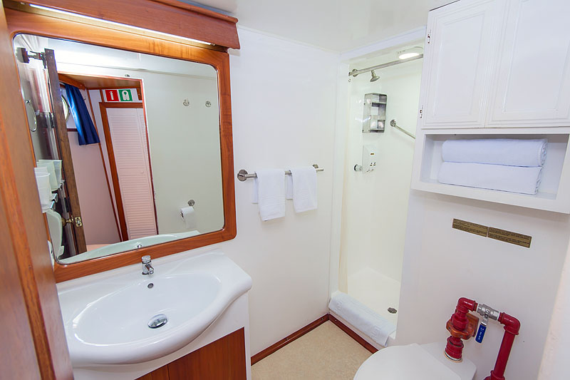 GP1016EN14_beluga-cabin1-bathroom.jpg [© Last Frontiers Ltd]