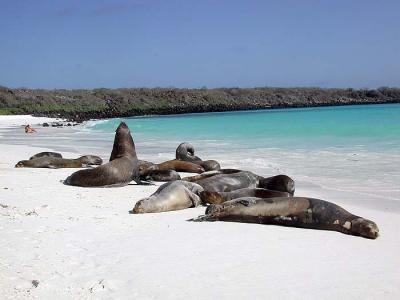 Unique beaches