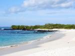 Bachas beach - Santa Cruz (Indefatigable), Galapagos