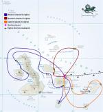 Image: La Pinta itineraries - Galapagos yachts and cruises, Galapagos