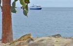 Image: Santa Cruz II - Galapagos yachts and cruises, Galapagos