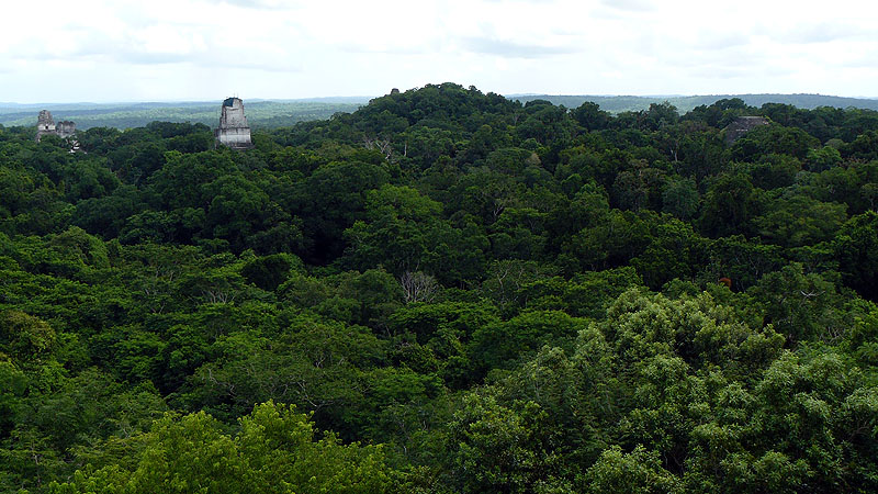 GU1014FD293_from-the-top-of-temple-four-tikal.jpg [© Last Frontiers Ltd]